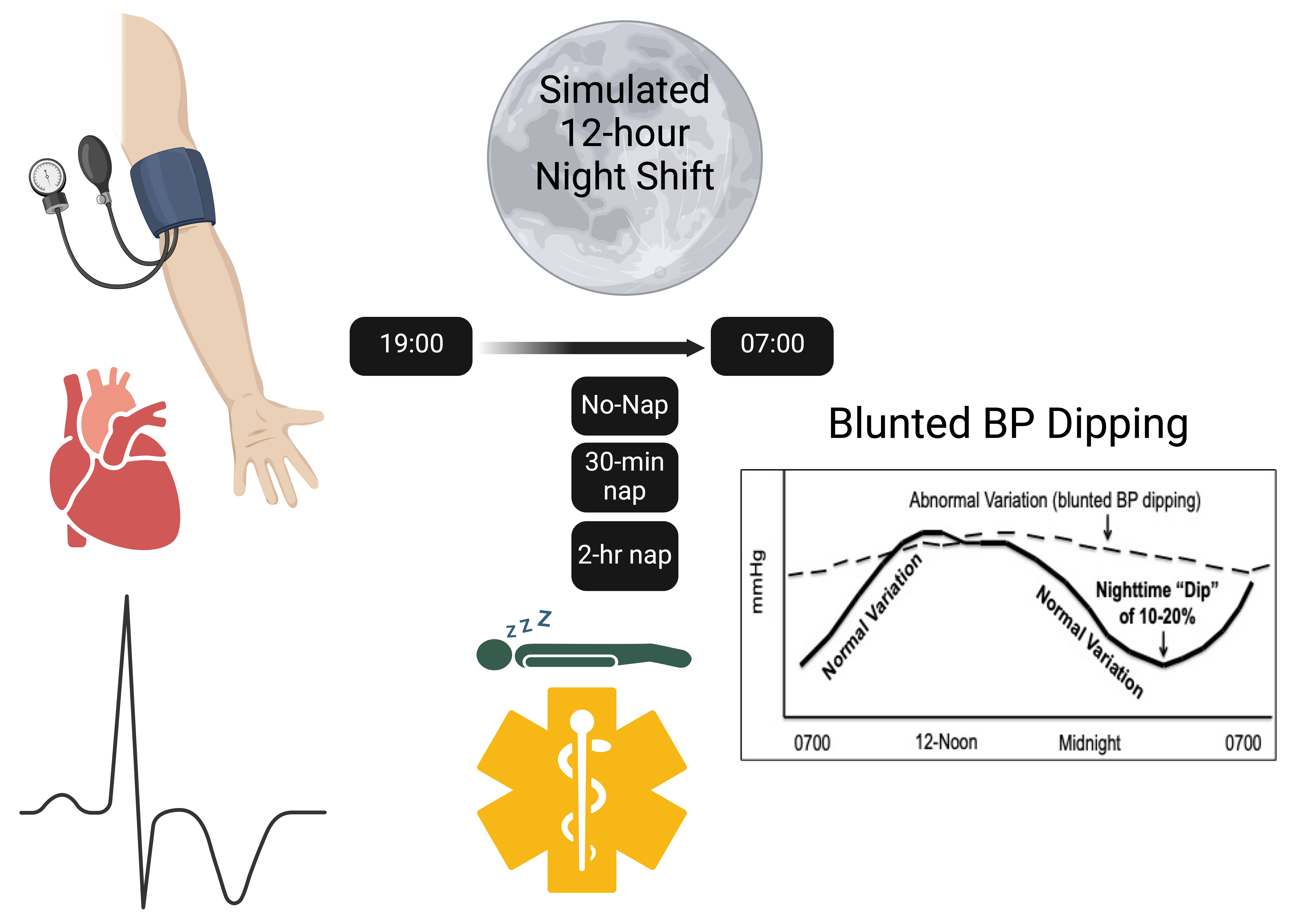 Effect of night shift study logo