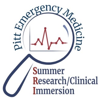 "Summer Research/Clinical Immersion Logo"